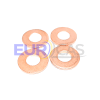 GOLILLA INYECTOR 307 DIESEL TURBO DW10BTED4 FAP1