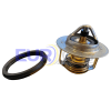 TERMOSTATO CON O´RING 82 GD RENAULT FLUENCE 2.0 16V1