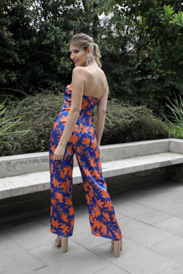 Enterito Fiesta 41024141