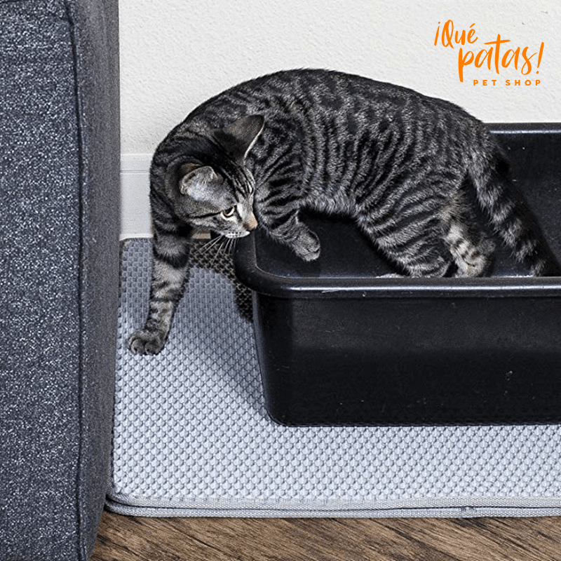 Alfombra Doble Capa Para Arenero | ¡Qué Patas! Pet Shop | Tienda Online
