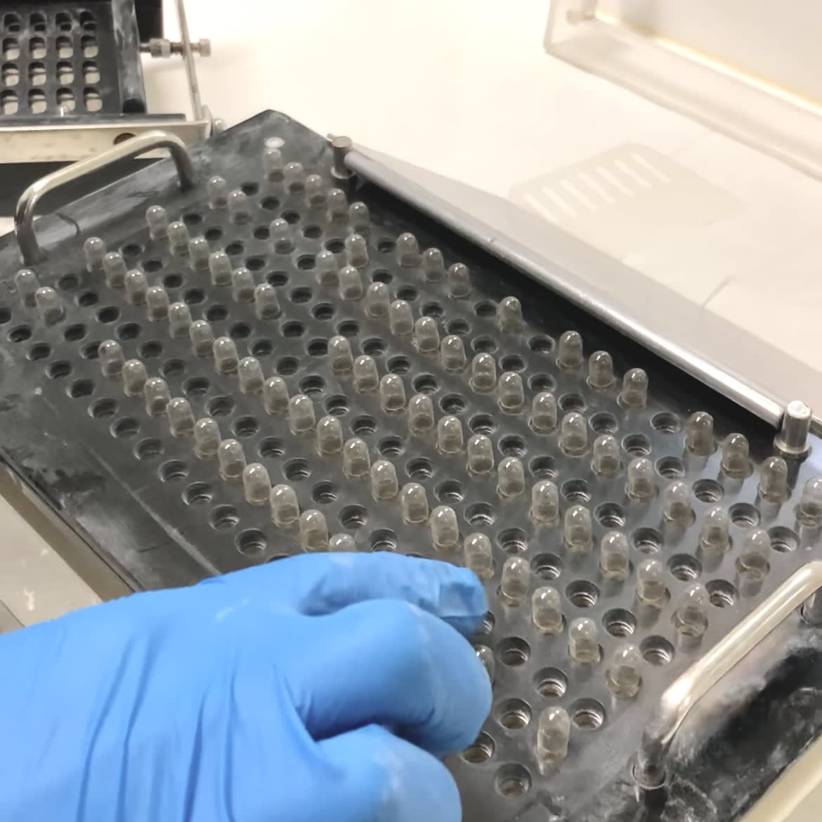 Medicina Ortomolecular 