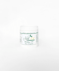 BCAA-B6-Or polvo x 120 gramos