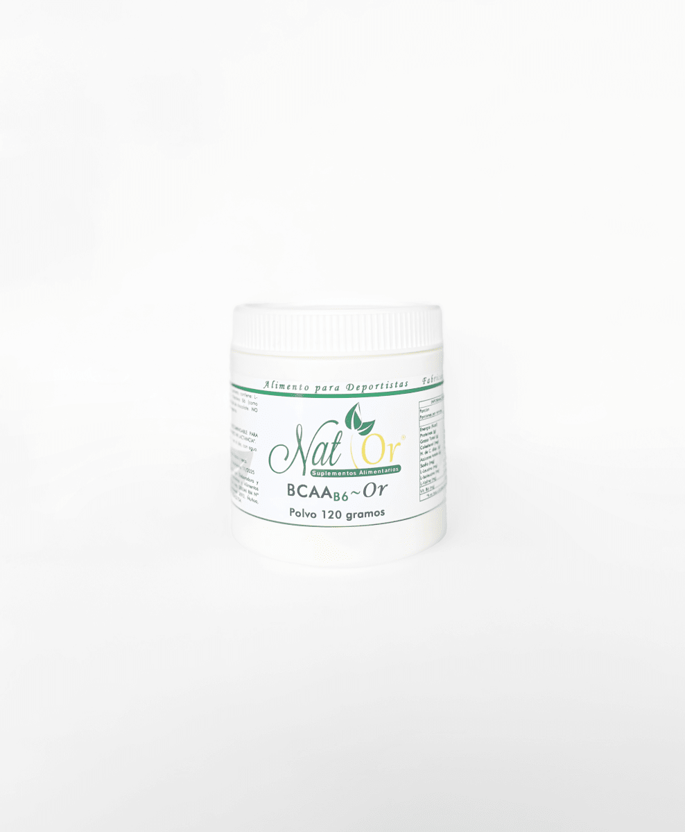 BCAA-B6-Or polvo x 120 gramos1