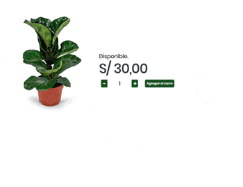 Productos/Productos Relacionados