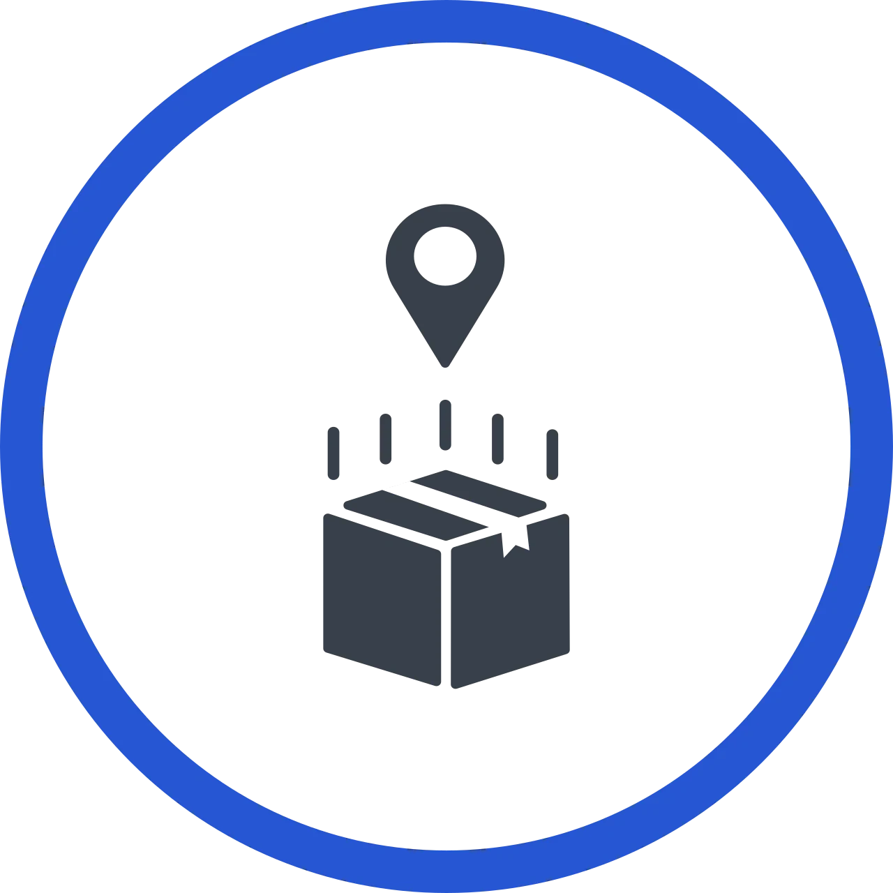 Seguimiento en tiempo real