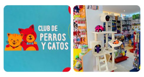 Club de Perros y Gatos, cliente Bsale Chile de petshop
