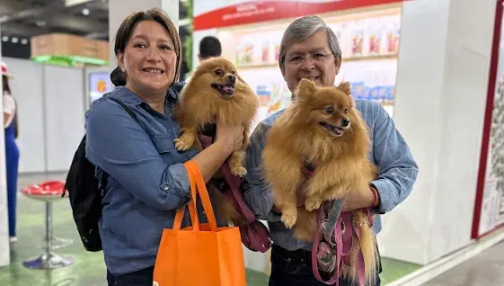 Punto de venta e inventario: el reto del sector pet en Chile