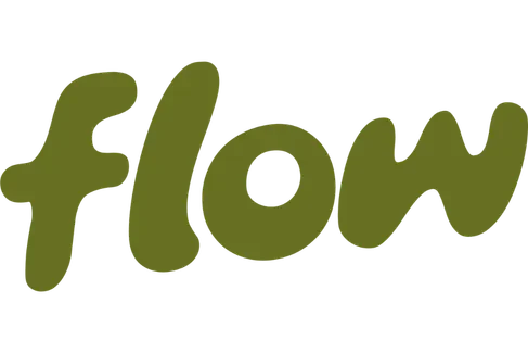 Integración de Bsale con Flow para cobrar online