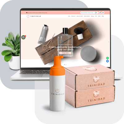 Plan Ecommerce
