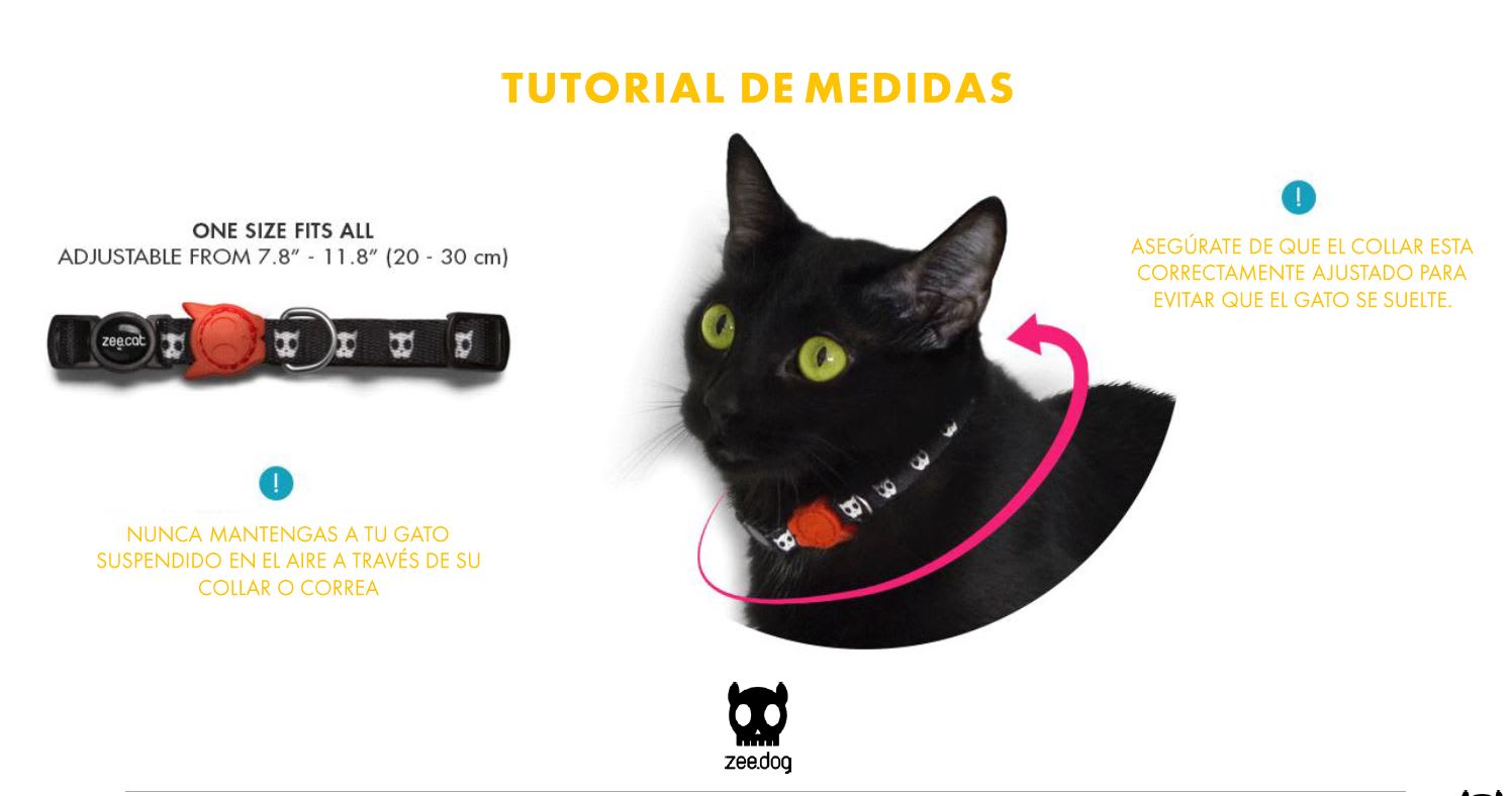 Collar Para Gatos Zee Cat Neopro Blue Collar Para Gatos Zee Cat Neopro Blue