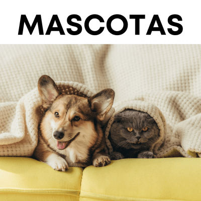 TODO MASCOTAS TODO MASCOTAS