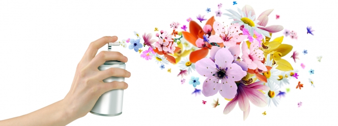 Ambientales e Insecticidas