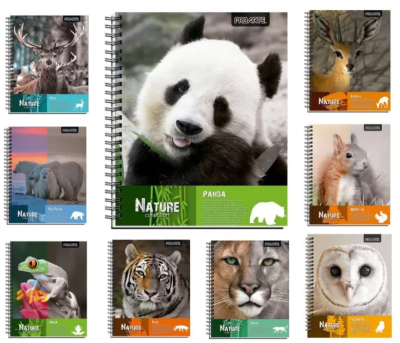 PROARTE NATURE CUADERNO UNIVERSITARIO 100 HJS 7 MM