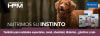 hpm adult banner p gina web 1680x3005404