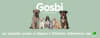 search?search_text=Gosbi&limit=12&order=relevance&way=DESC