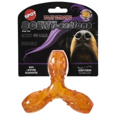 SPOT SCENT-SATION PLAY STRONG TRIDENTE