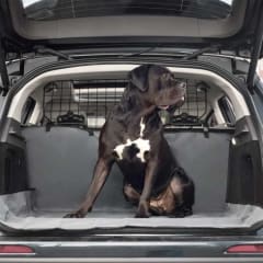 GFPET CUBRE MALETERO