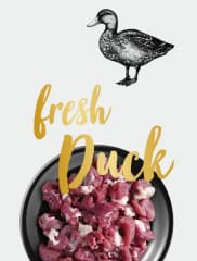 LEONARDO FRESH DUCK