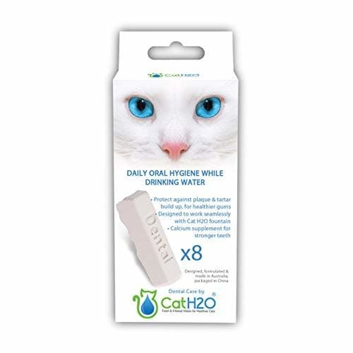 CAT H2O SET 8 TABLETAS DENTAL CARE Pet Central