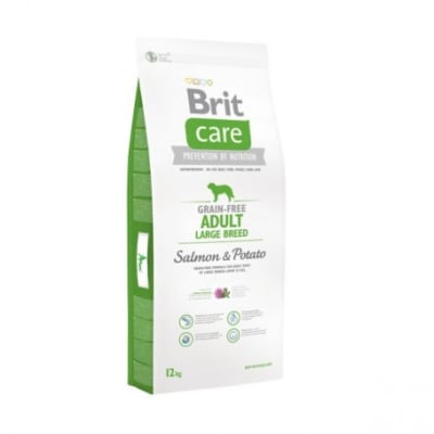 BRIT CARE GRAIN-FREE ADULTO LARGE SALMON&PAPA1