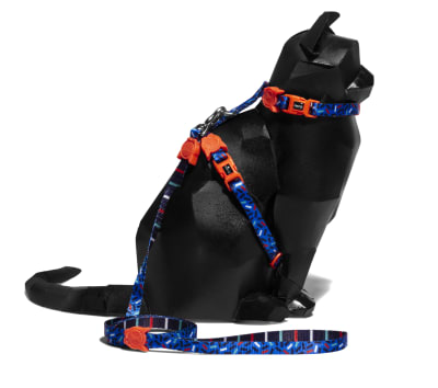 ZEECAT HARNESS & LEASH ATLANTA1