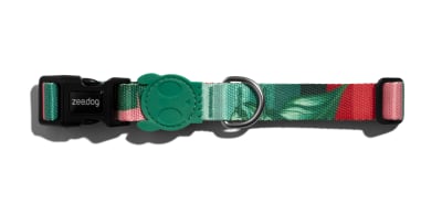 ZEEDOG BALLI COLLAR1