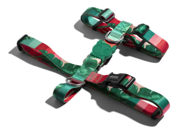 ZEEDOG BALLI H-HARNESS2