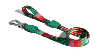 ZEEDOG BALLI LEASH1