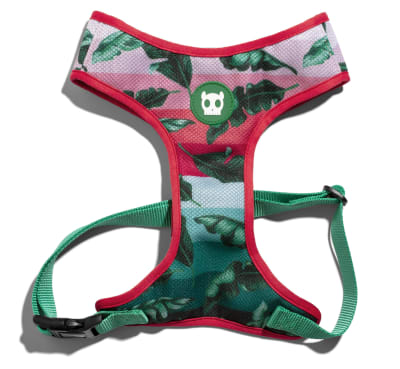 ZEEDOG BALLI AIR MESH PLUS HARNESS1