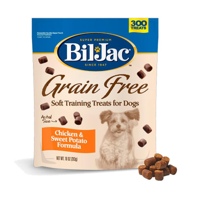 BIL JAC GRAIN FREE CHICKEN & POTATO 283G1