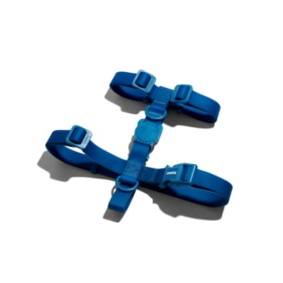 ZEEDOG NEOPRO BLUE H-HARNESS2