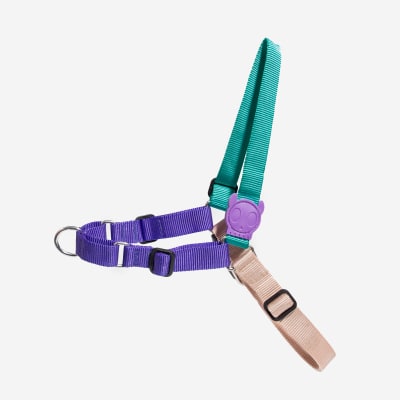 ZEEDOG BOOGIE SOFT-WALK1