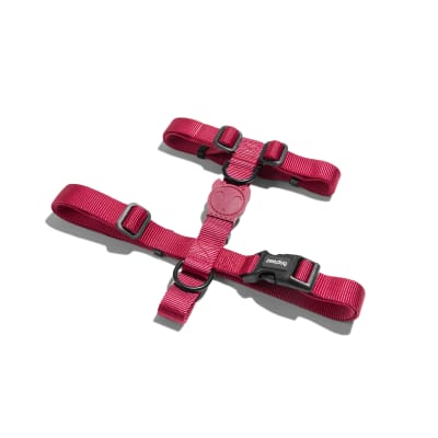 ZEEDOG BORDEAU H-HARNESS1