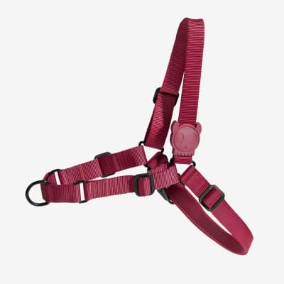 ZEEDOG BORDEAU SOFT-WALK HARNESS1