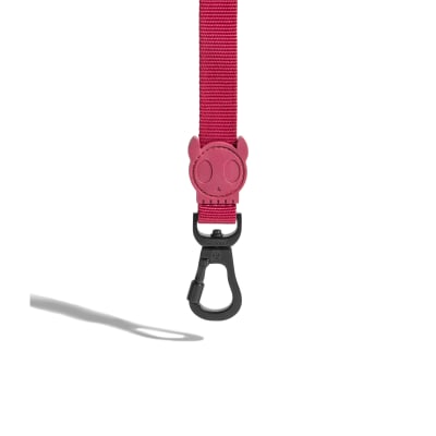 ZEEDOG BORDEAU LEASH2