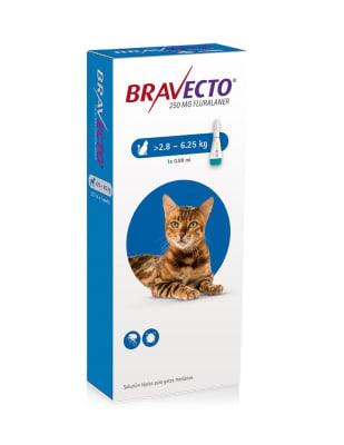 BRAVECTO GATO 2,8 - 6,25 KG1
