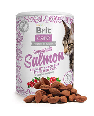 BRIT CARE CAT TREE SNACK SUPERFRUITS SALMON 100GR.1