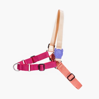 ZEEDOG CINNAMON SOFT-WALK1