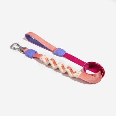 ZEEDOG CINNAMON RUFF LEASH2