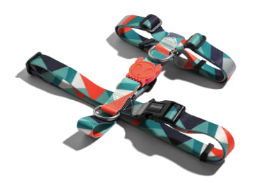 ZEEDOG ELLA H - HARNESS2