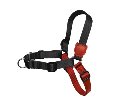 ZEEDOG FATBOY SOFT-WALK HARNESS1