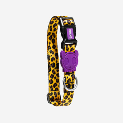 ZEEDOG HONEY COLLAR TALLAS1