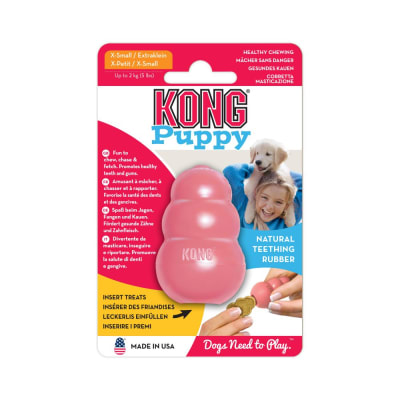 KONG PUPPY3