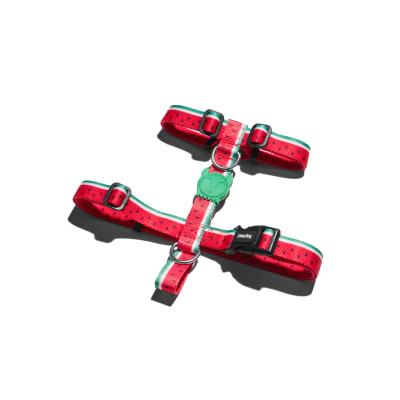 ZEEDOG LOLA H-HARNESS2