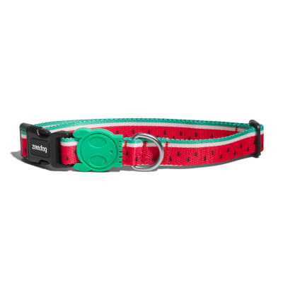 ZEEDOG LOLA COLLAR2