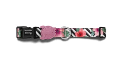 ZEEDOG MAHALO COLLAR2