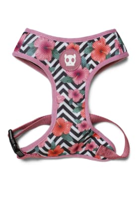 ZEEDOG MAHALO AIR MESH HARNESS1