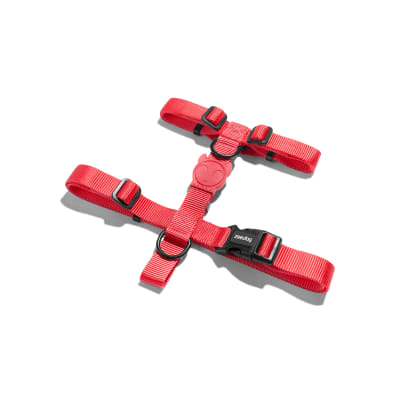 ZEEDOG NEON CORAL H-HARNESS1