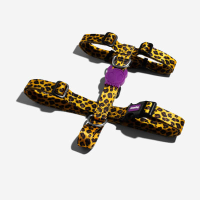 ZEEDOG HONEY H-HARNESS TALLAS2