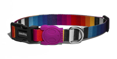 ZEEDOG PRISMA COLLAR1
